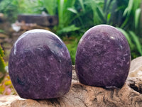 Polished Lepidolite Standing Free Forms x 6 From Madagascar
