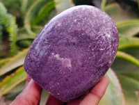 Polished Lepidolite Standing Free Forms x 6 From Madagascar