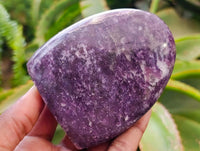 Polished Lepidolite Standing Free Forms x 6 From Madagascar