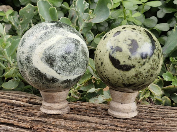 Polished Spotted Leopard Stone Spheres  x 2 From Zimbabwe - Toprock Gemstones and Minerals 