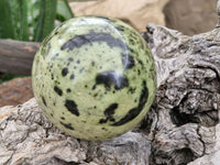 Polished Spotted Leopard Stone Spheres  x 2 From Zimbabwe - Toprock Gemstones and Minerals