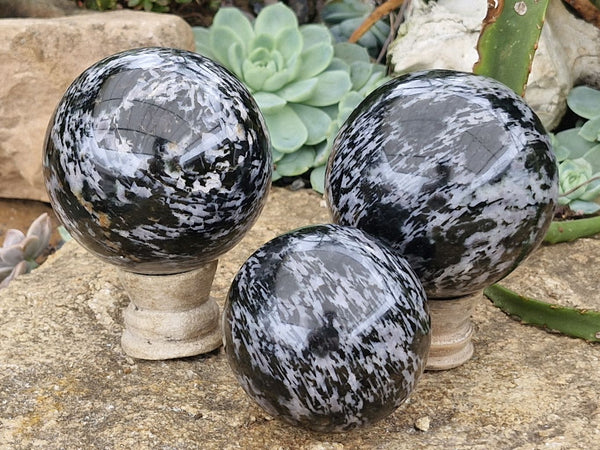 Polished Merlinite Gabbro Spheres  x 3 From Madagascar - Toprock Gemstones and Minerals 