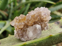 Natural Small Mixed Spirit Quartz Specimens  x 35 From Boekenhouthoek, South Africa - Toprock Gemstones and Minerals