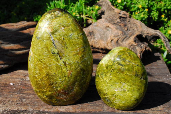 Polished Green Opal Standing Free Forms x 2 From Antsirabe, Madagascar - TopRock