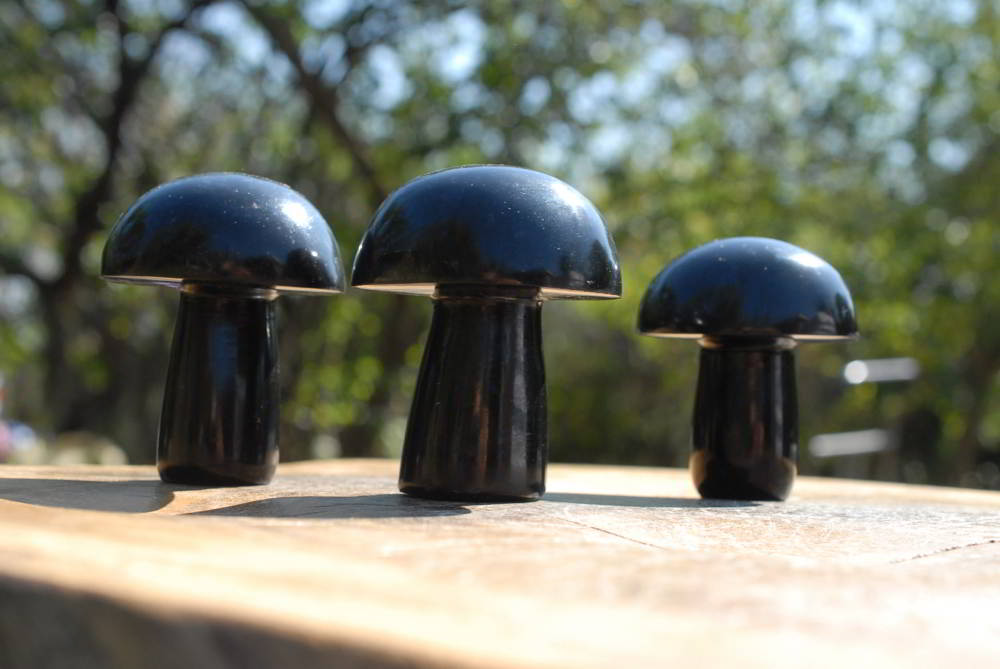 Polished Black Basalt Mushroom Sculptures x 1 From Madagascar - TopRock