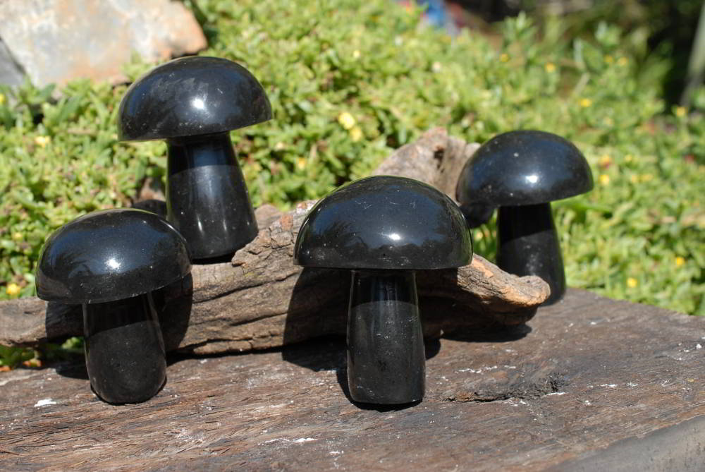 Polished Black Basalt Mushroom Sculptures x 1 From Madagascar - TopRock
