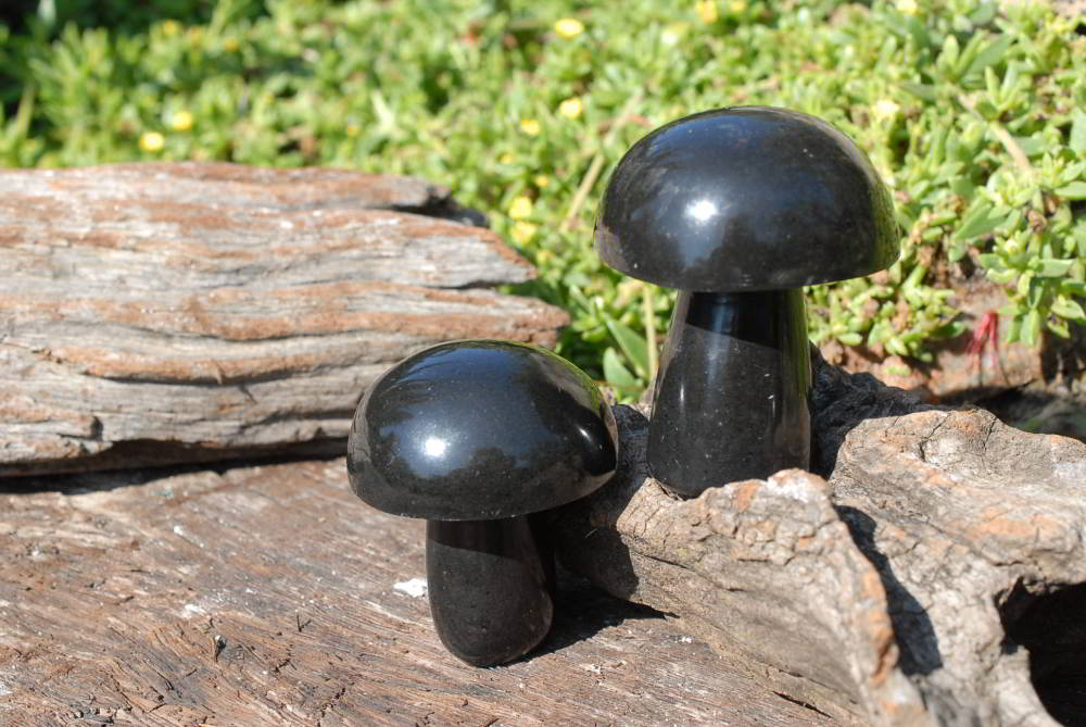 Polished Black Basalt Mushroom Sculptures x 1 From Madagascar - TopRock