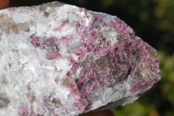 Natural Rubellite Rough Cobbed Pieces x 12 From Madagascar - TopRock