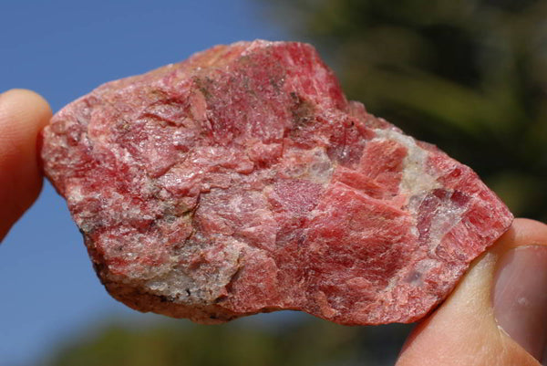 Natural Red - Deep Pink Rhodonite Cobbed Pieces x 8 From Zimbabwe - TopRock
