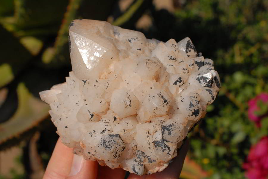 Natural Mixed Quartz Cluster Specimens x 6 From Southern Africa - TopRock