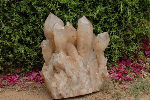 Natural Giant Angolan Quartz Cluster With 8 Main Crystal Fingers x 1 From Angola - TopRock
