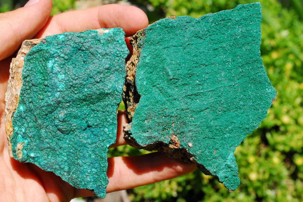 Natural Micro Botryoidal Malachite Drusy Crystals on Matrix  x 6 From Tenke Fungumure, Congo - TopRock