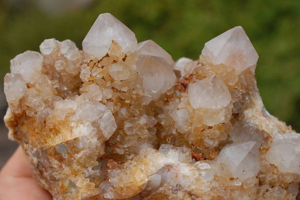 Natural Spirit Quartz Crystals & Clusters x 9 From Boekenhouthoek, South Africa - TopRock