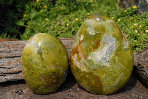 Polished Green Opal Standing Free Forms x 2 From Madagascar - TopRock