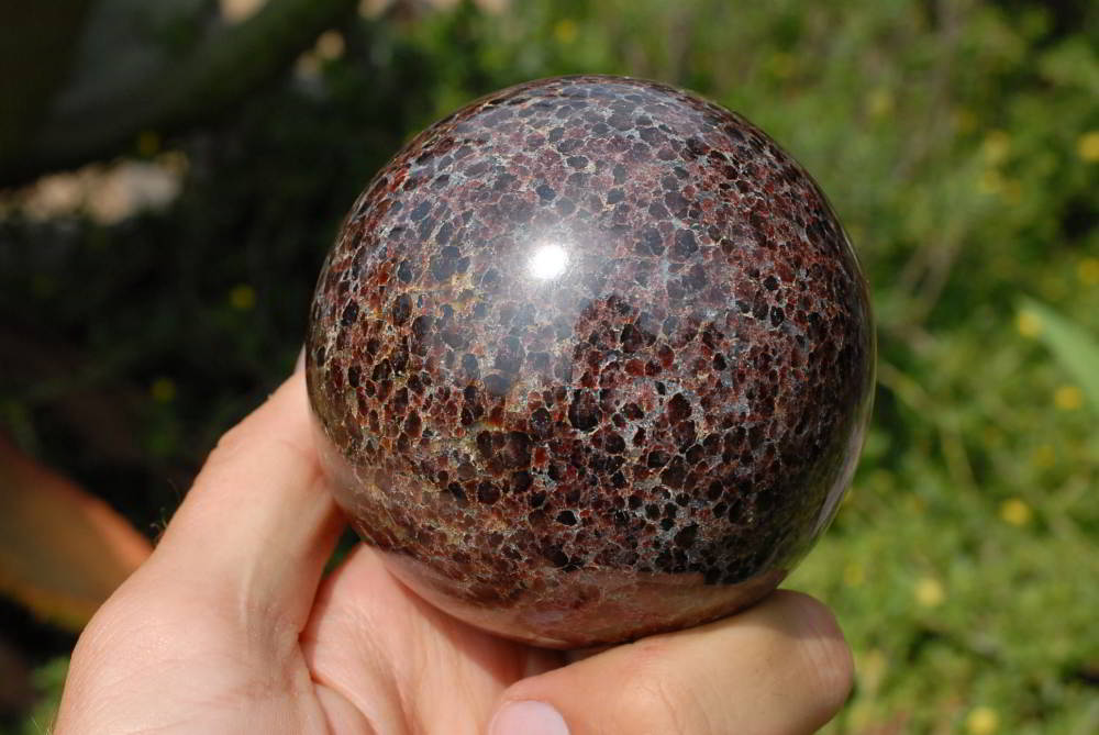 Polished Garnet Sphere x 1 From Madagascar - TopRock