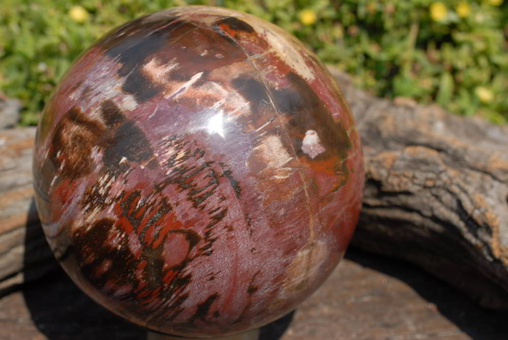 Polished Red Podocarpus Large Petrified Wood Sphere x 1 From Marvoay, Madagascar - TopRock