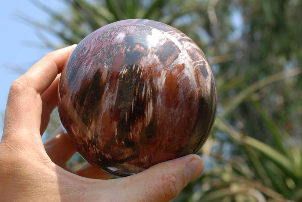 Polished Red Podocarpus Large Petrified Wood Sphere x 1 From Marvoay, Madagascar - TopRock
