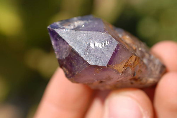 Natural Skeletal Sceptre Amethyst Crystals x 12 From Chiredzi, Zimbabwe - TopRock