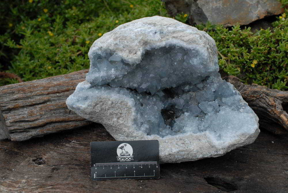 Natural Celestite Large Specimen x 1 From Sakoany, Madagascar - TopRock