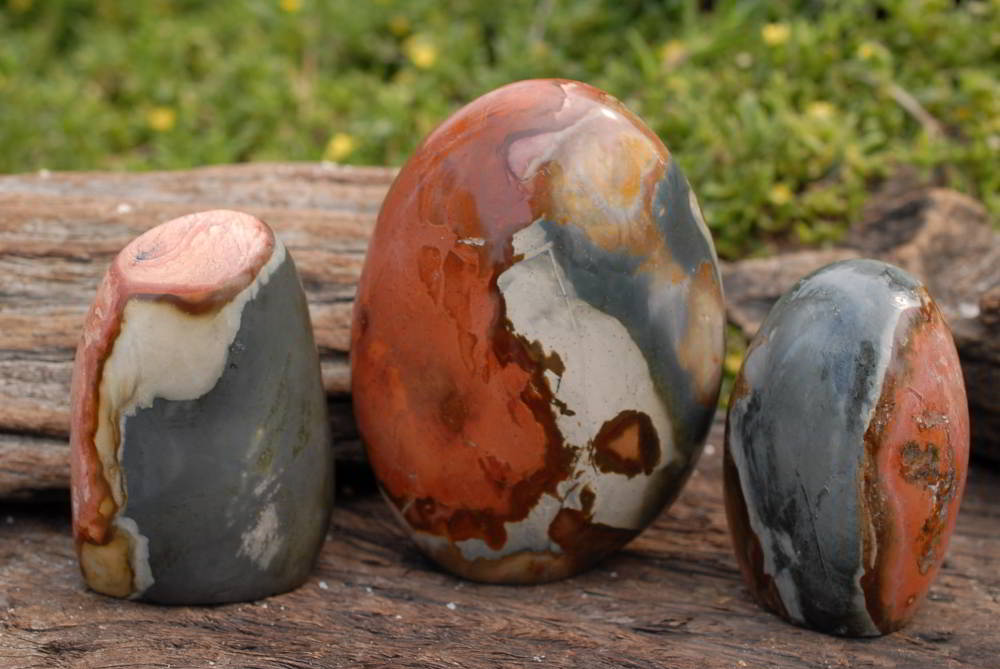 Polished Polychrome Jasper Standing Free Forms x 3 From Madagascar - TopRock