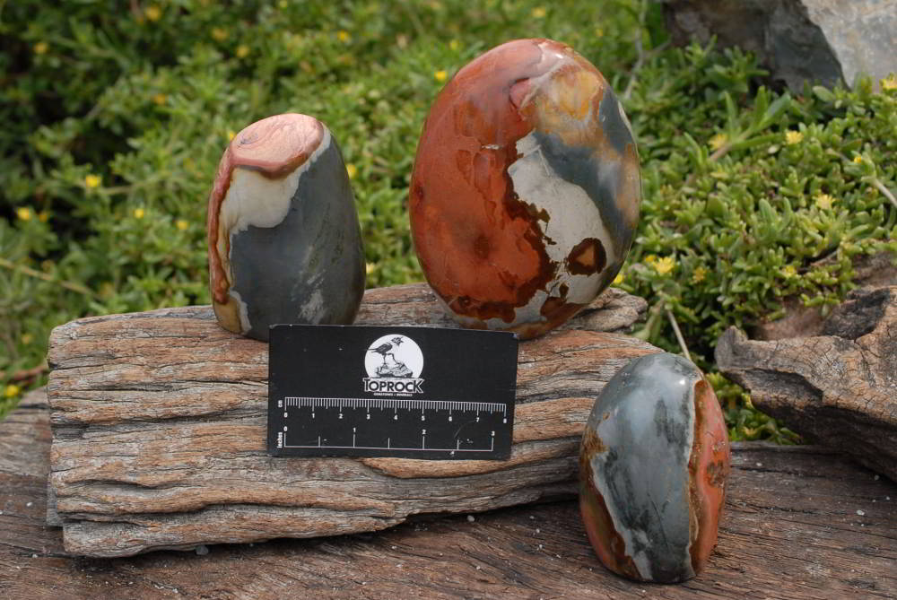 Polished Polychrome Jasper Standing Free Forms x 3 From Madagascar - TopRock
