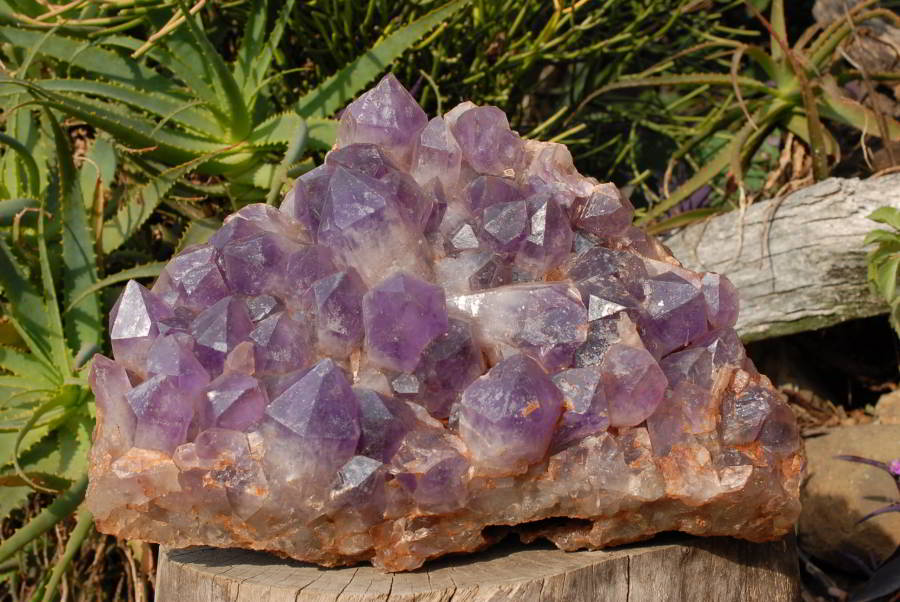 Natural Extra Large Zambian Amethyst Giant Cluster x 1 From Mumbwa, Zambia - TopRock