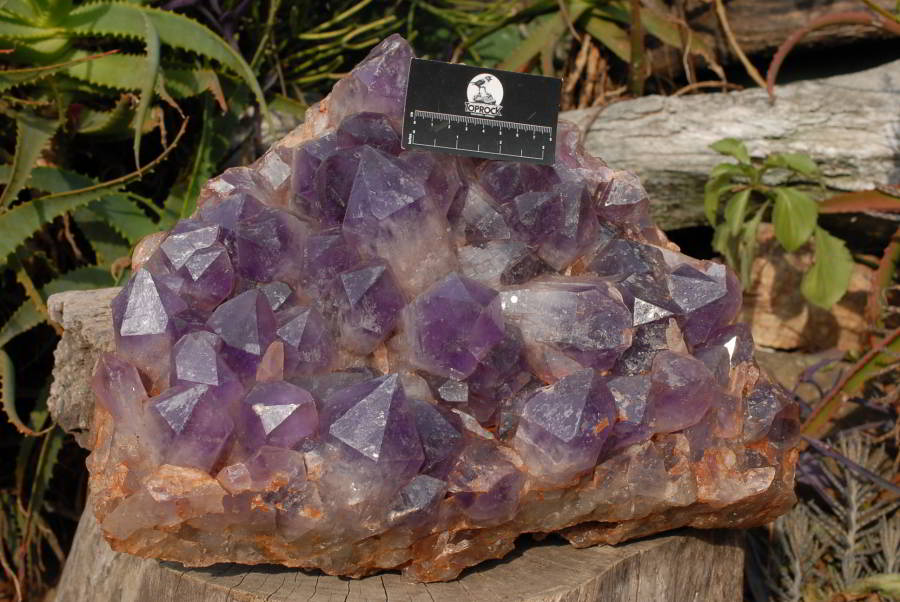 Natural Extra Large Zambian Amethyst Giant Cluster x 1 From Mumbwa, Zambia - TopRock