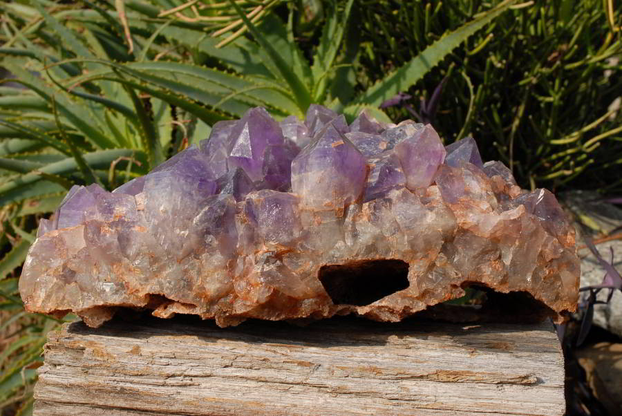 Natural Extra Large Zambian Amethyst Giant Cluster x 1 From Mumbwa, Zambia - TopRock