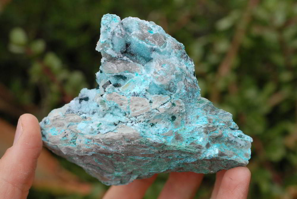 Natural Drusy Coated Chrysocolla With Malachite's x 7 From Likasi, Congo - TopRock