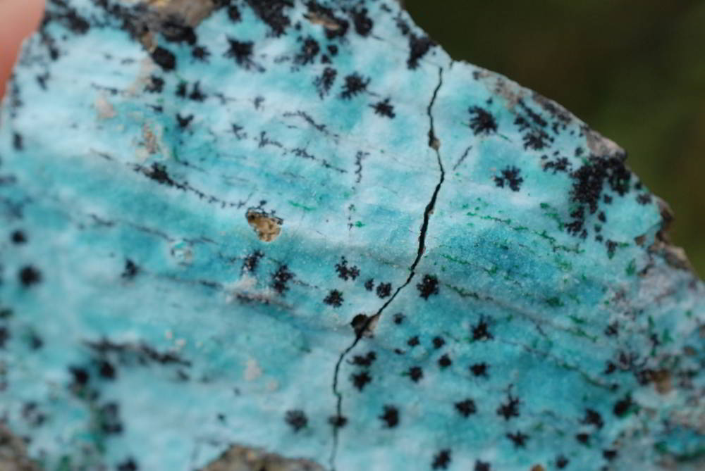 Natural Drusy Coated Chrysocolla With Malachite's x 7 From Likasi, Congo - TopRock