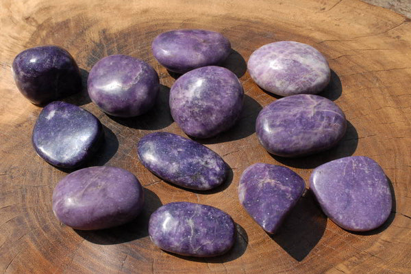 Polished Lepidolite Gallets & Free Forms x 12 From Zimbabwe - TopRock