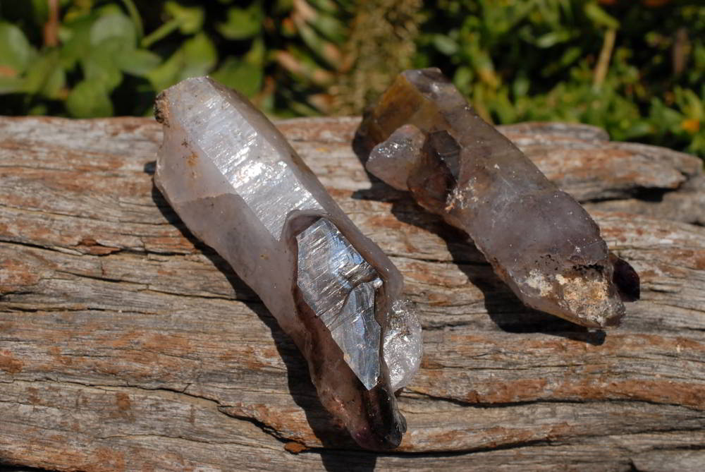 Natural Skeletal Sceptre Amethyst Crystals x 12 From Chiredzi, Zimbabwe - TopRock