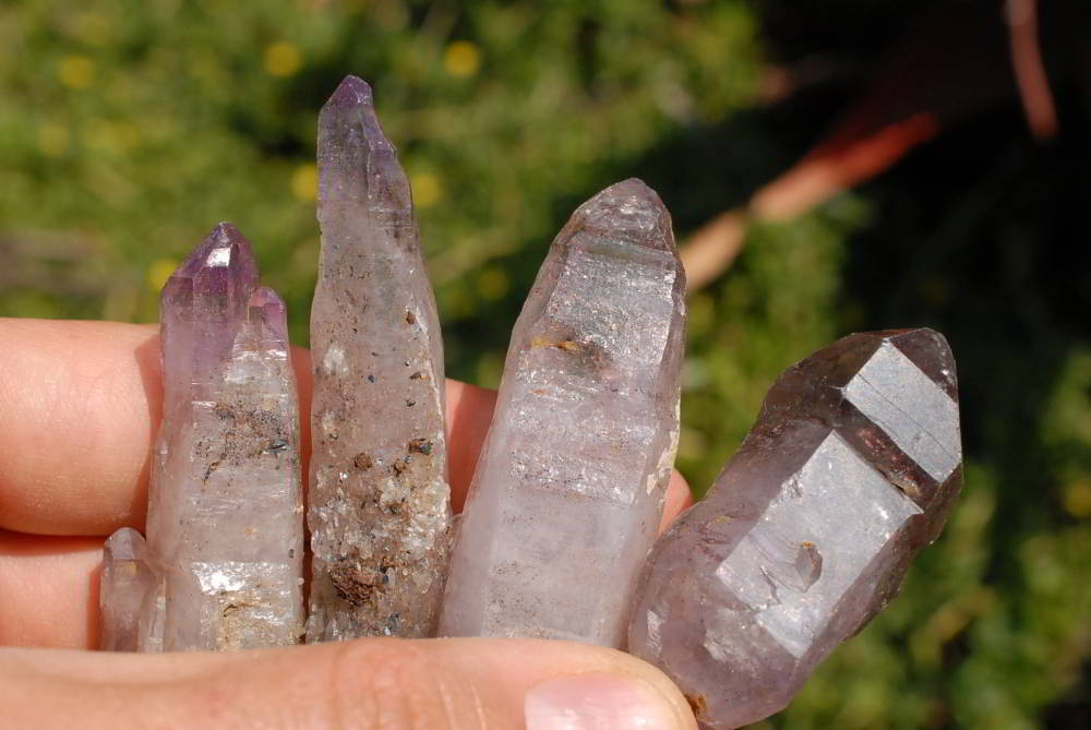 Natural Skeletal Sceptre Amethyst Crystals x 12 From Chiredzi, Zimbabwe - TopRock