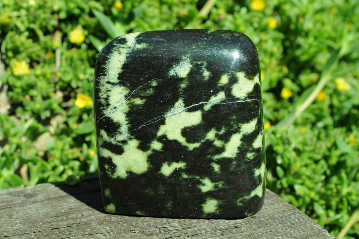 Polished Selected Spotty Leopard Stone Standing Free Forms x 6 From Zimbabwe - TopRock