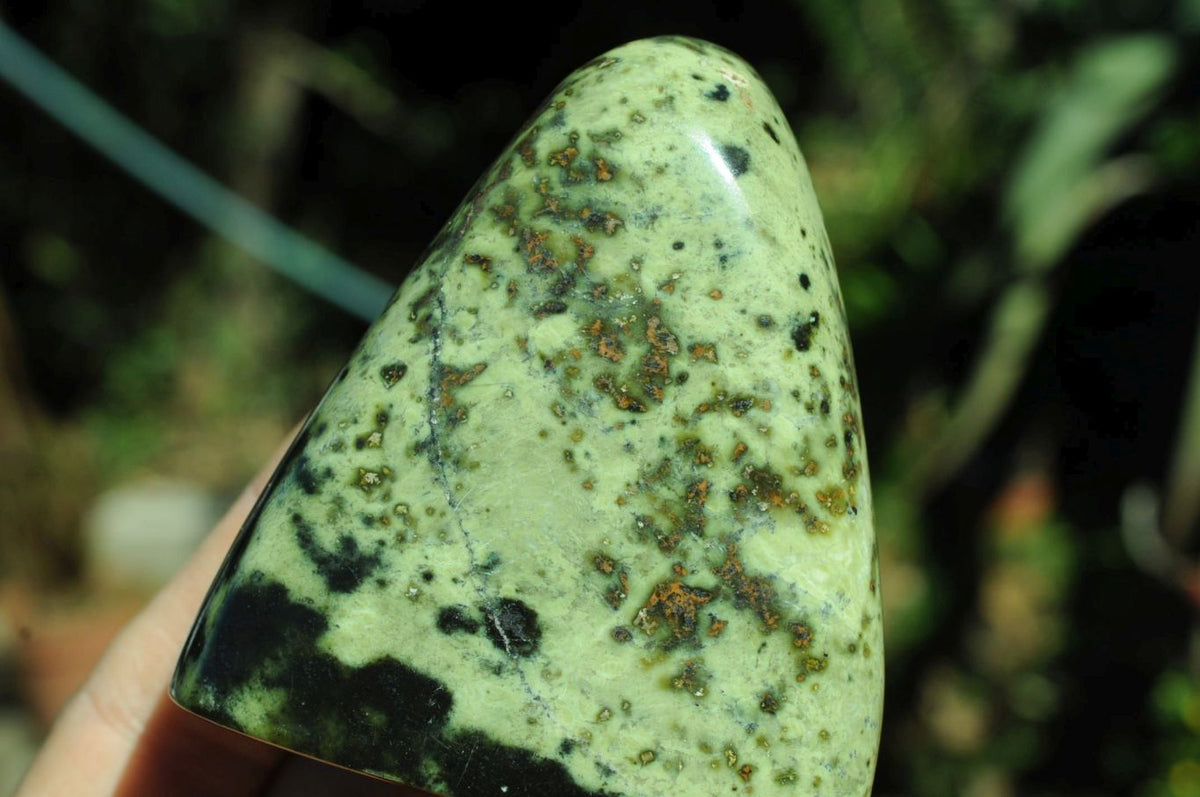 Polished Selected Spotty Leopard Stone Standing Free Forms x 6 From Zimbabwe - TopRock