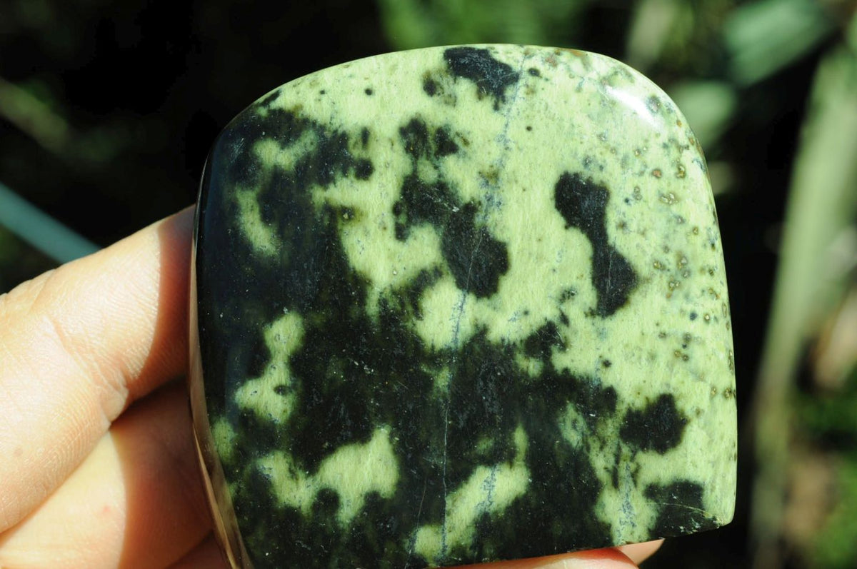 Polished Selected Spotty Leopard Stone Standing Free Forms x 6 From Zimbabwe - TopRock