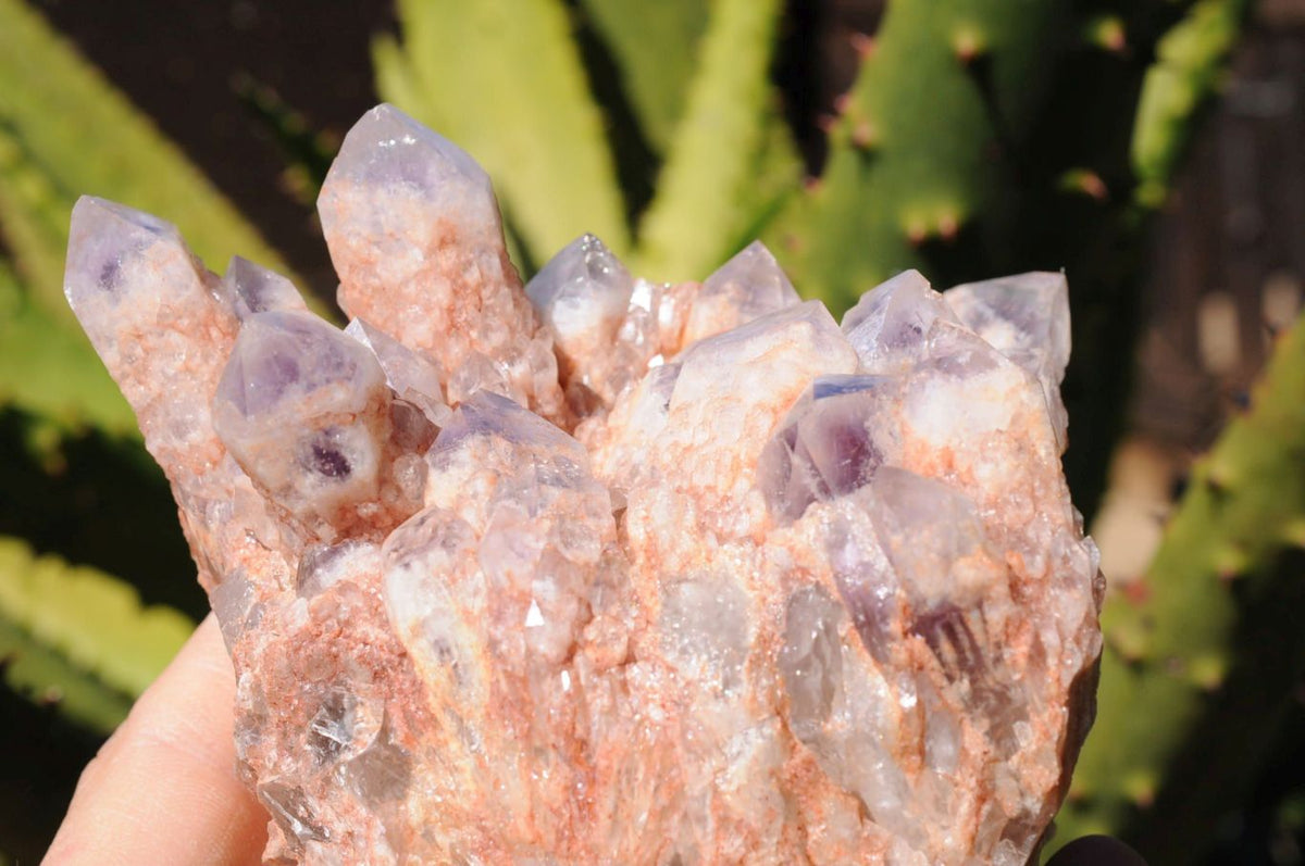 Natural Sugar Amethyst Phantom Clusters x 2 From Solwezi, Zambia - TopRock