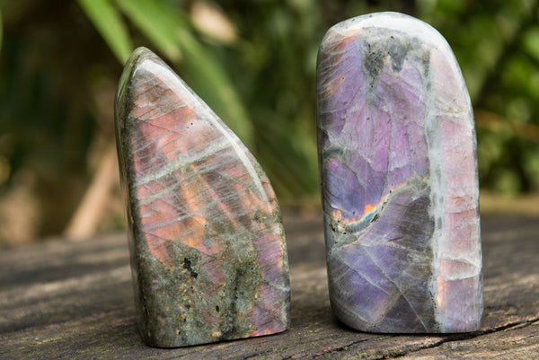 Polished Labradorite Standing Free Forms With Intense Blue & Gold Flash x 4 From Sakoany, Madagascar - TopRock
