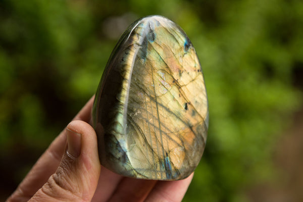 Polished Labradorite Standing Free Forms With Intense Blue & Gold Flash x 4 From Tulear, Madagascar - TopRock