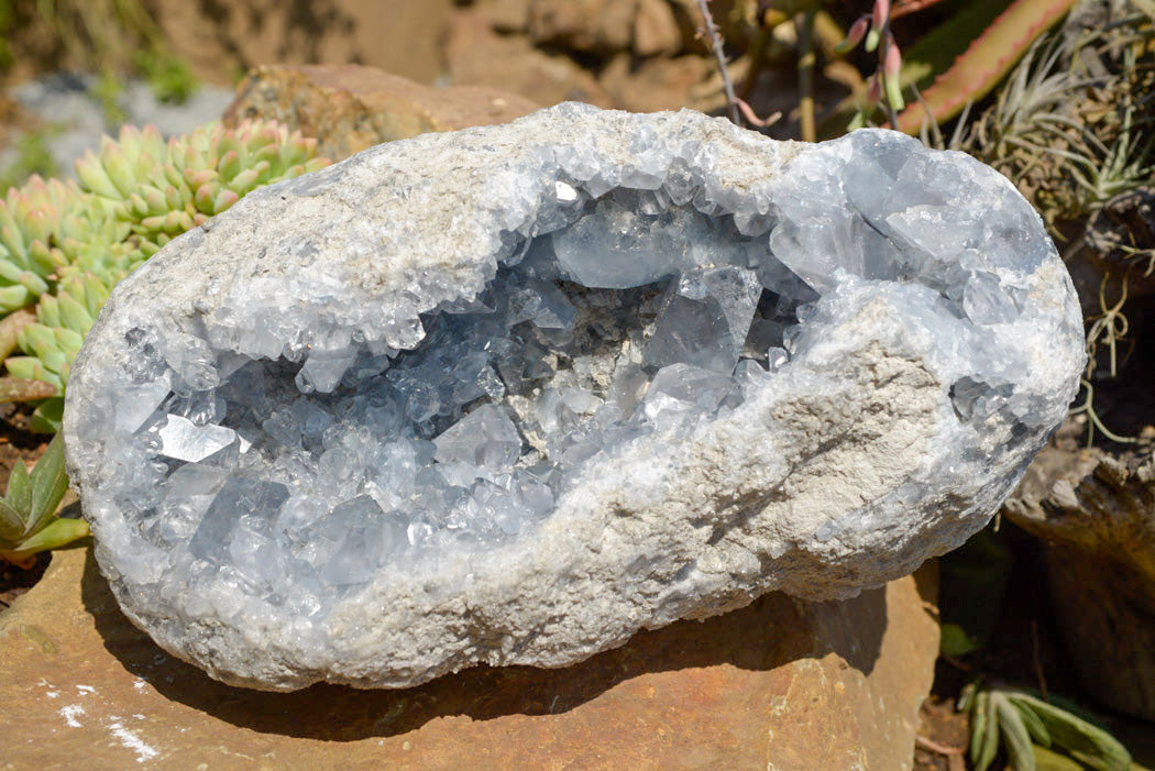 Natural Blue Celestite Geode Specimen With Large Semi Optic Crystals x 1 From Sakoany, Madagascar - TopRock