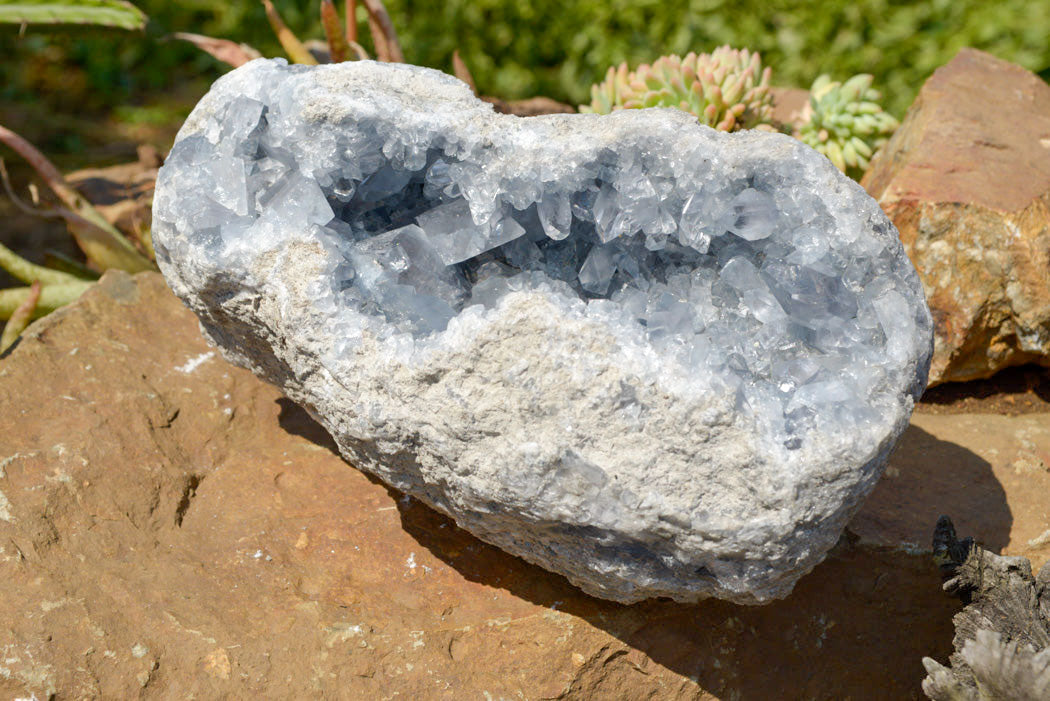 Natural Blue Celestite Geode Specimen With Large Semi Optic Crystals x 1 From Sakoany, Madagascar - TopRock