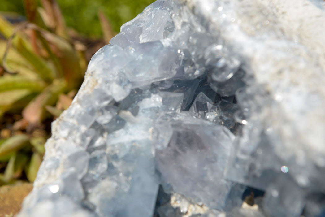 Natural Blue Celestite Geode Specimen With Large Semi Optic Crystals x 1 From Sakoany, Madagascar - TopRock