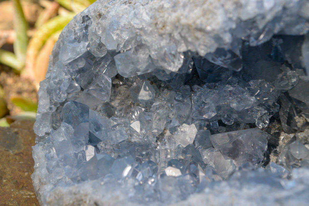 Natural Blue Celestite Geode Specimen With Large Semi Optic Crystals x 1 From Sakoany, Madagascar - TopRock