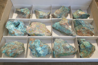 Natural Rough Shattuckite Cobbed Specimens x 12 From Kaokoveld, Namibia - Toprock Gemstones and Minerals