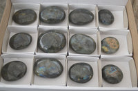Polished Flashy Labradorite Palm Stones  x 12 From Tulear, Madagascar - Toprock Gemstones and Minerals
