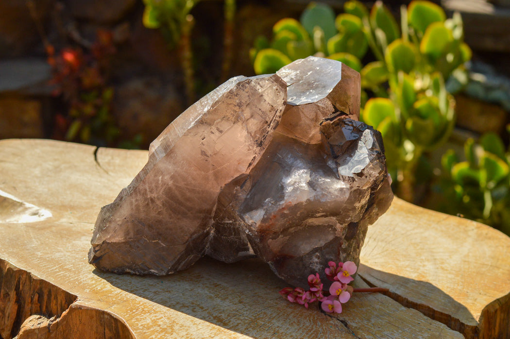 Natural Extra Large Self Healed Smokey Quartz Crystal Cluster x 1 From Mt. Mulanje, Malawi - TopRock