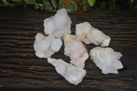 Natural White Cactus Flower Spirit Quartz Specimens  x 6 From Boekenhouthoek, South Africa - Toprock Gemstones and Minerals