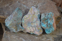 Natural Rough Shattuckite Cobbed Specimens x 12 From Kaokoveld, Namibia - Toprock Gemstones and Minerals