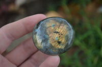 Polished Flashy Labradorite Palm Stones  x 12 From Tulear, Madagascar - Toprock Gemstones and Minerals