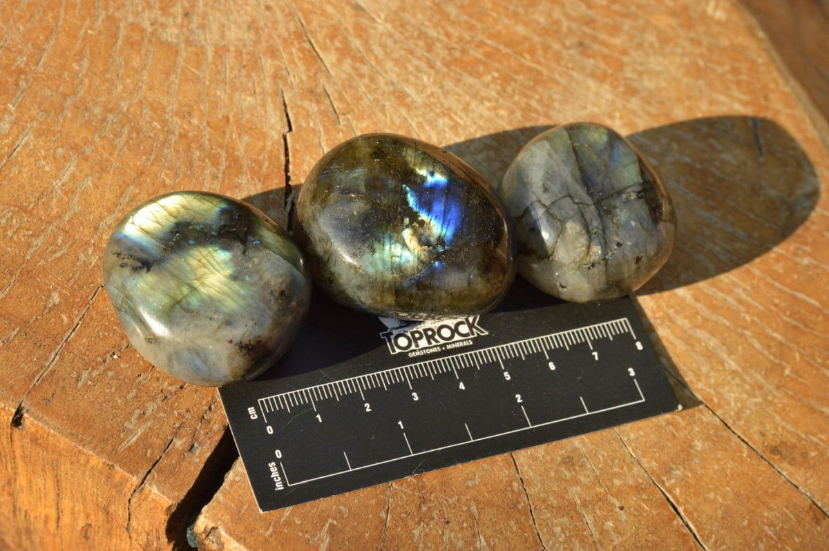 Polished Flashy Blue & Gold Labradorite Palm Stones x 20 From Tulear, Madagascar - TopRock